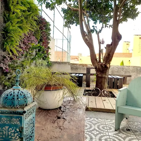 Orange Tree House *
