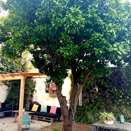 Apartment Orange Tree House *