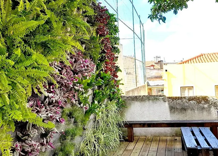 Orange Tree House * Lisboa