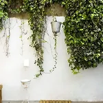 Orange Tree House דירה ליסבון