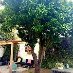 דירה Orange Tree House *