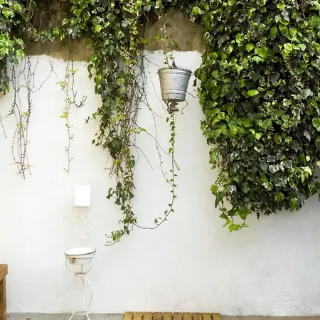 Orange Tree House Apartament Lizbona