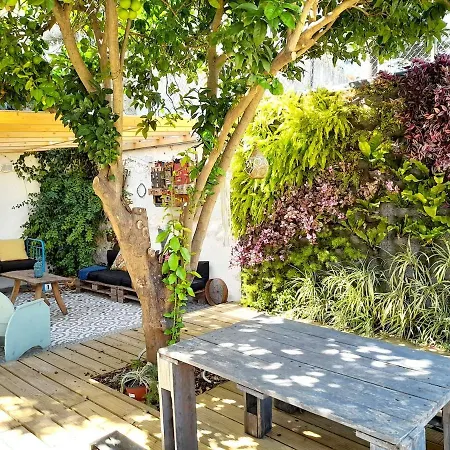 Apartment Orange Tree House
